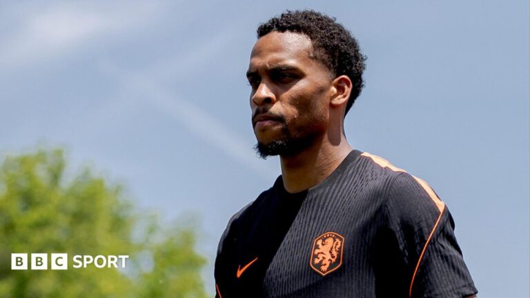 Netherlands’ Timber out of World Cup with injury
